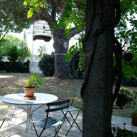 Apartment De Plein Pied Toulouse Nord Castelginest