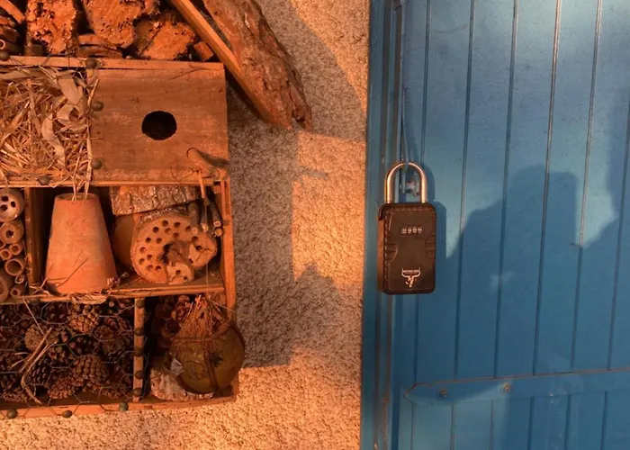 Apartment De Plein Pied Toulouse Nord *